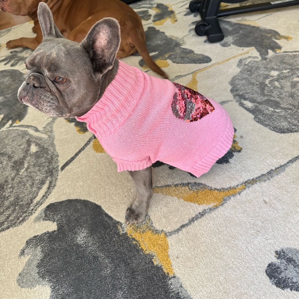 Pink Dog Sweater with Sequin Heart